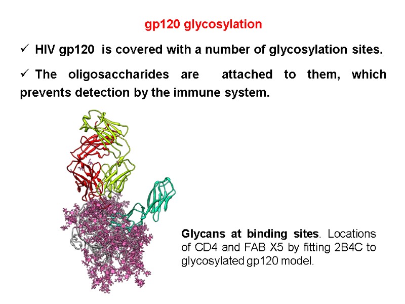 gp120 glycosylation   HIV gp120  is covered with a number of glycosylation